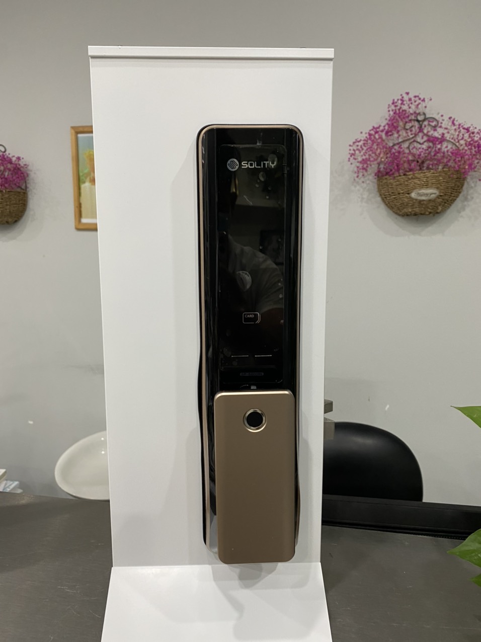 z3503485628159 fa1878da8a7cf010257f9a35cf3d4c89 1