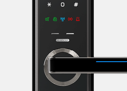 Khóa Vân Tay Schlage S6500F 6500F Security03